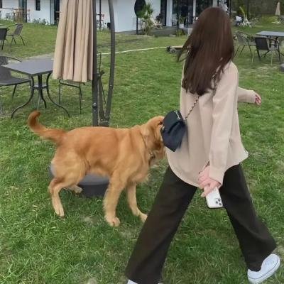 不是闹着玩的之欢乐喜剧村